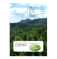 (4)北海道産木製品リストの作成