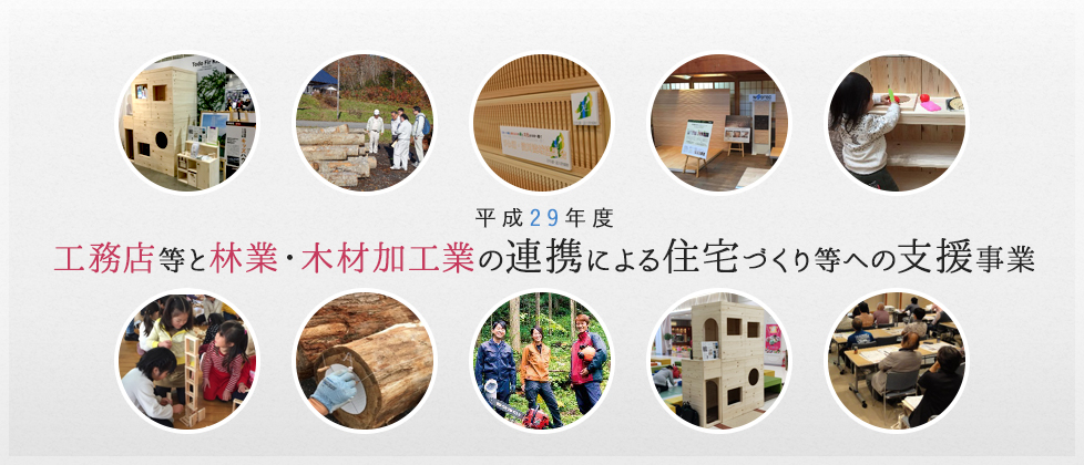 平成29年度 工務店等と林業・木材加工業の連携による住宅づくり等への支援事業